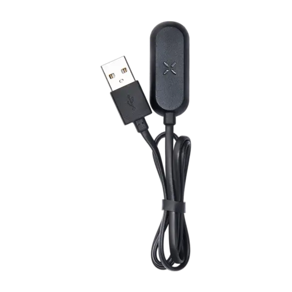 BUY 1 GET 1 FREE PAX USB Charging Cable | Vape Amazon India